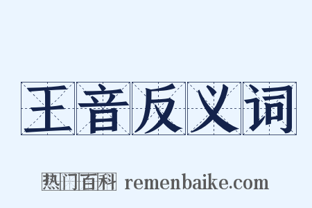 王音反义词是什么意思的图片